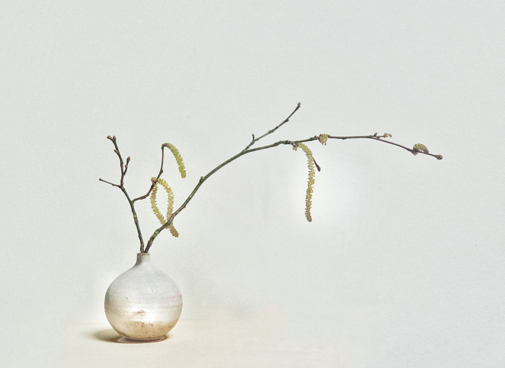 catkins