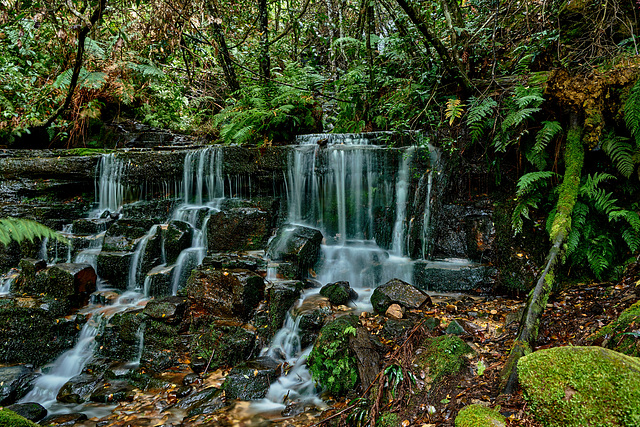 Blue Mountains Marguerite Cascades, Katoomba