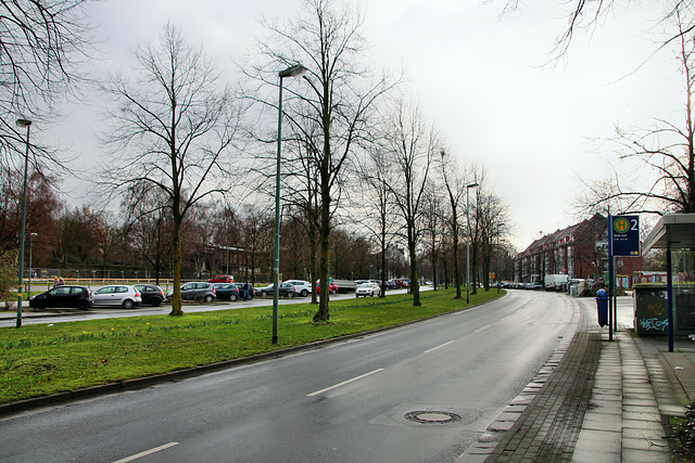 Wilhelm-Nieswandt-Allee (Essen-Altenessen) / 18.01.2020