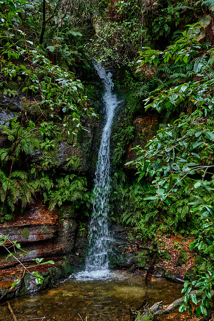 Linda Falls