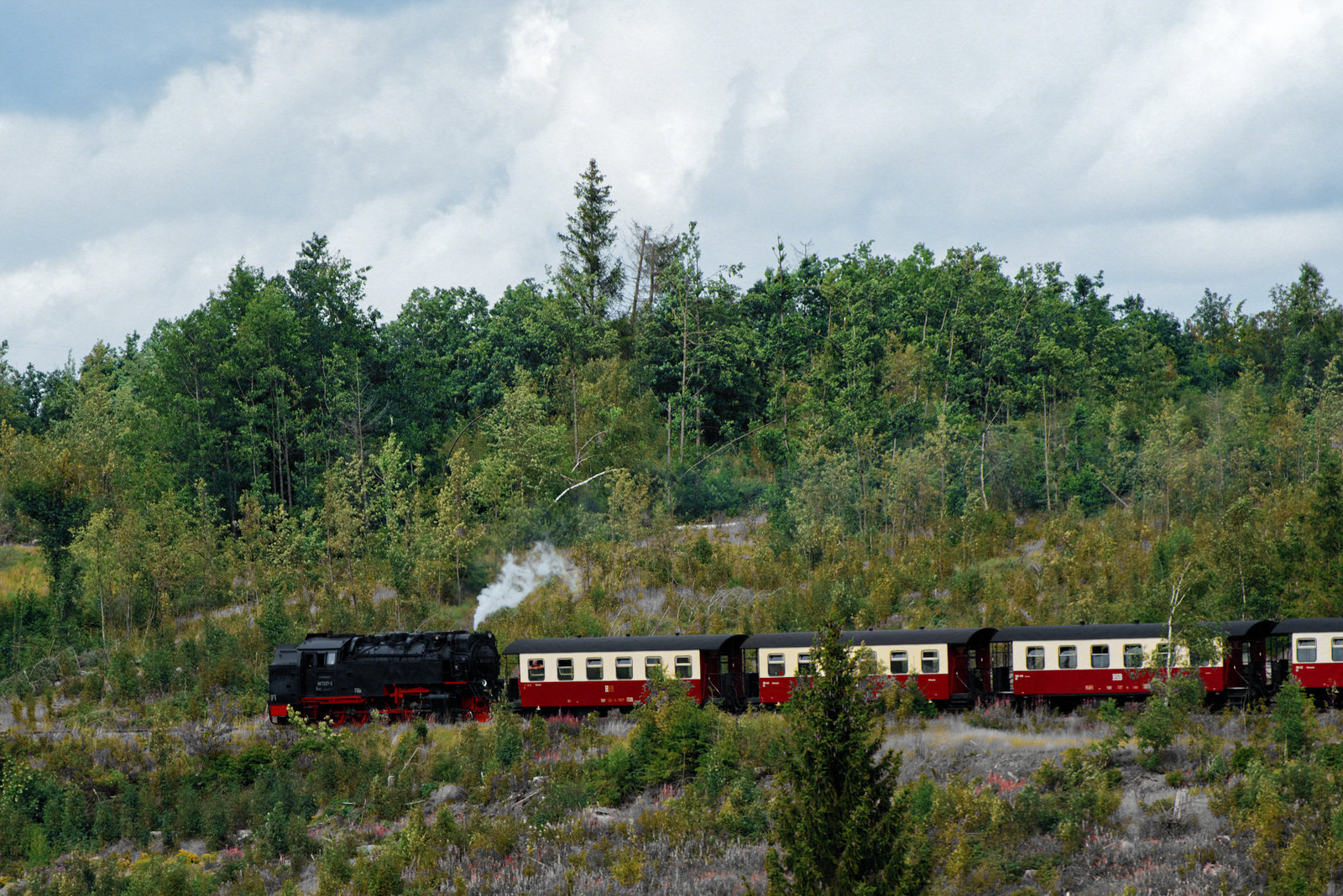 20230813_benneckenstein wandern