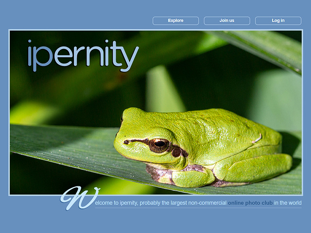 ipernity homepage with #1615