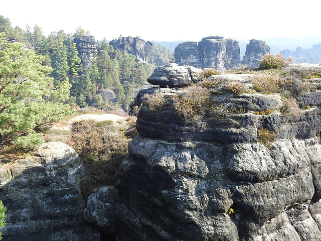 Elbsandsteingebirge, Sächsische Schweiz