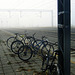 Bicycles waiting for "riders" from the train