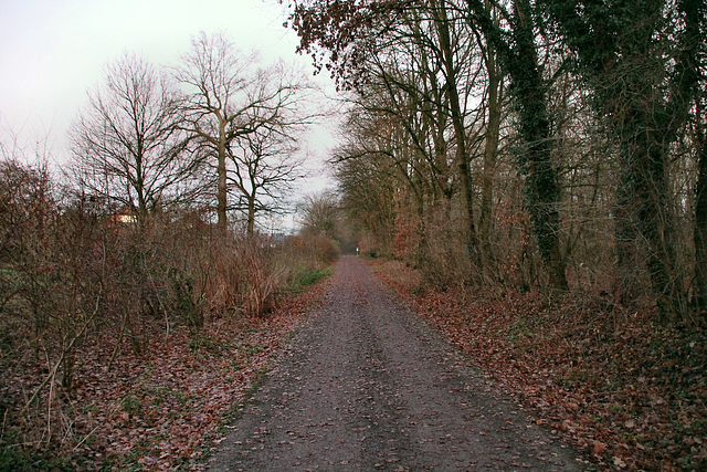 Radweg auf der ehem. Bahnstrecke Haltern–Venlo (Haltern-Lippramsdorf) / 12.12.2018