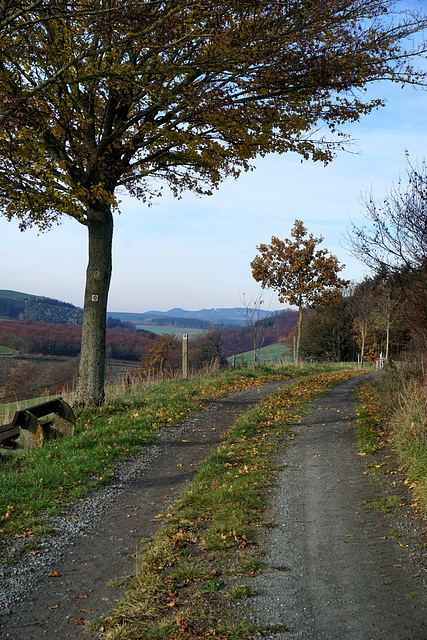 Fototour, Oberhenneborn