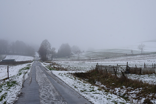 Dorf im Nebel