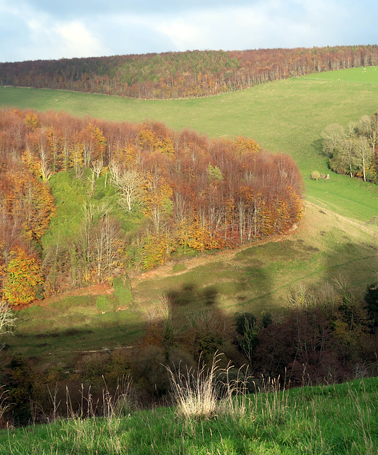 Across the valley