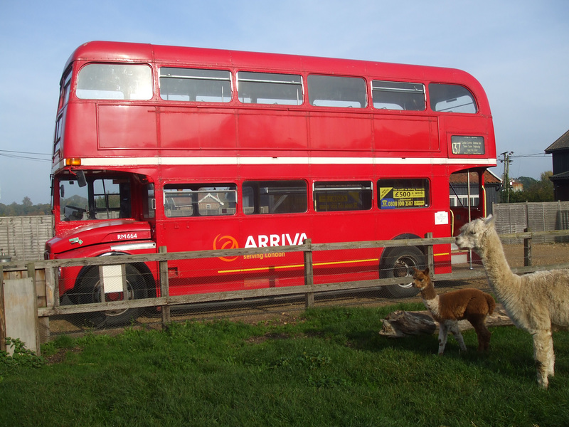 DSCF2006 Former London Transport RM664 (WLT 664) (860 UXC)