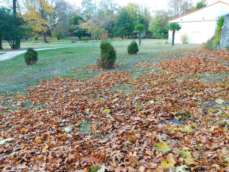 Derrière chez moi...le parc...