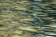 Reflets d'automne sur le canal