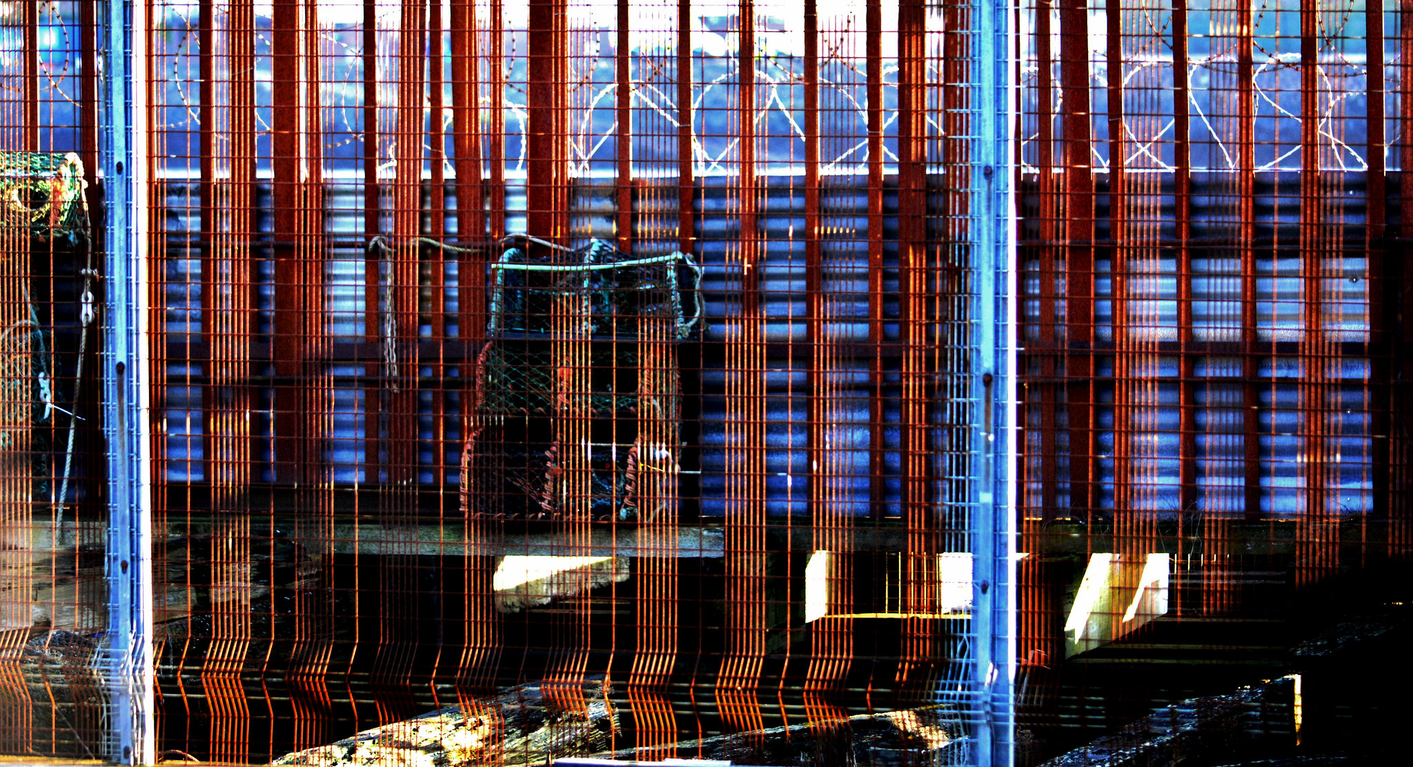 DSC 0066