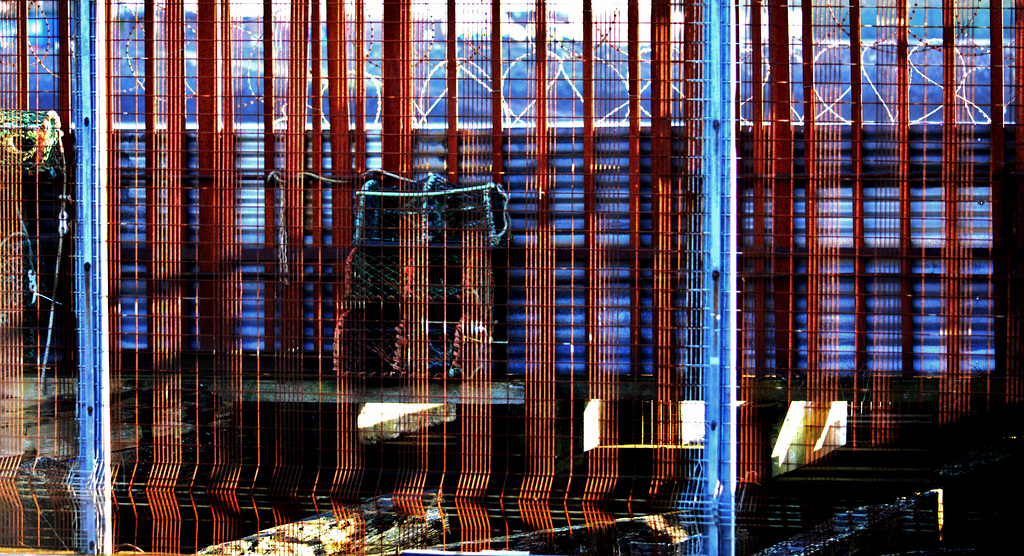 DSC 0066