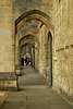 Winchester Cathedral