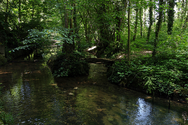 Un affluent du Loiret , La Pie