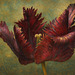 Baroque Flame