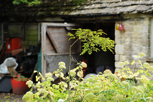 Lacock Abbey Garden Shed