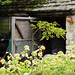 Lacock Abbey Garden Shed