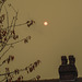 Red sun over Whirlow 3