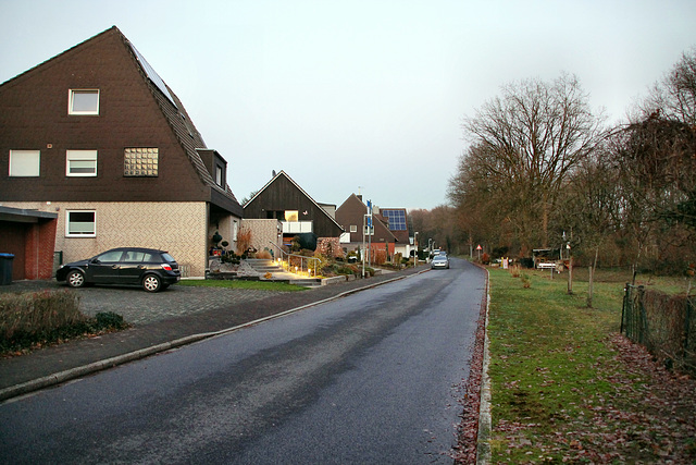 Heerstraße (Haltern-Lippramsdorf) / 12.12.2018