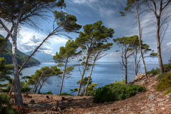 The Wonders of Mallorca:  The wild paradise of Majorca