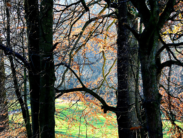 Heaton Park,Newcastle