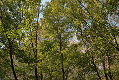 Nationalpark Paklenica - Aufstieg Richtung Jurline