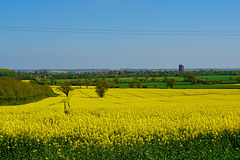 Fields near Stafford