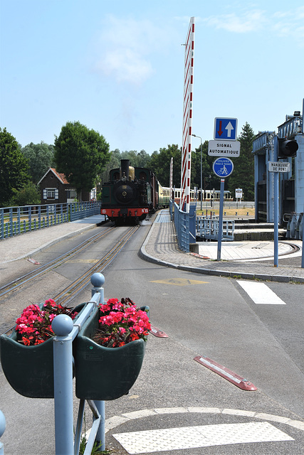 Short Fence with flowers!!!