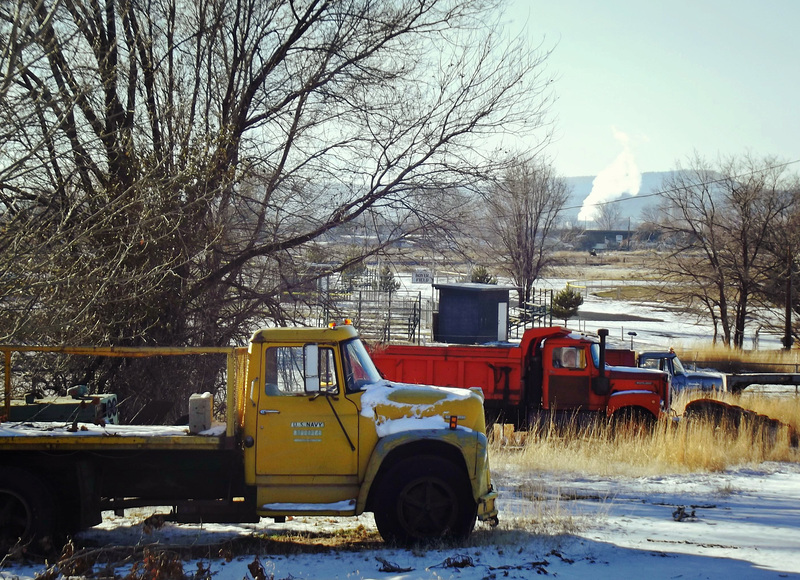 Three trucks, probably an International in front