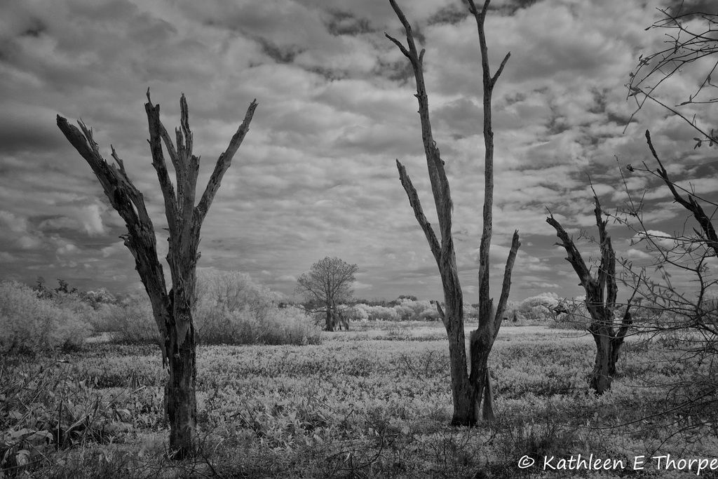 Circle B Bar Preserve 030216-001