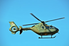 Eurocopter EC 635 mit dem Kennzeichen T-352