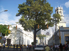 Caracas-Venezuela