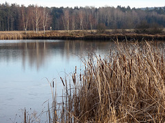 Eselweiher bei Teublitz