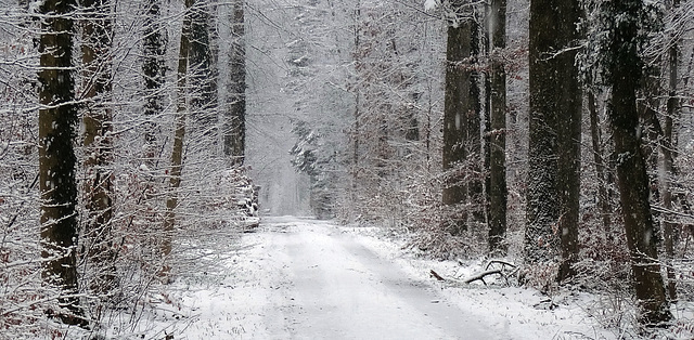 Gestern Frühling, heute Winter