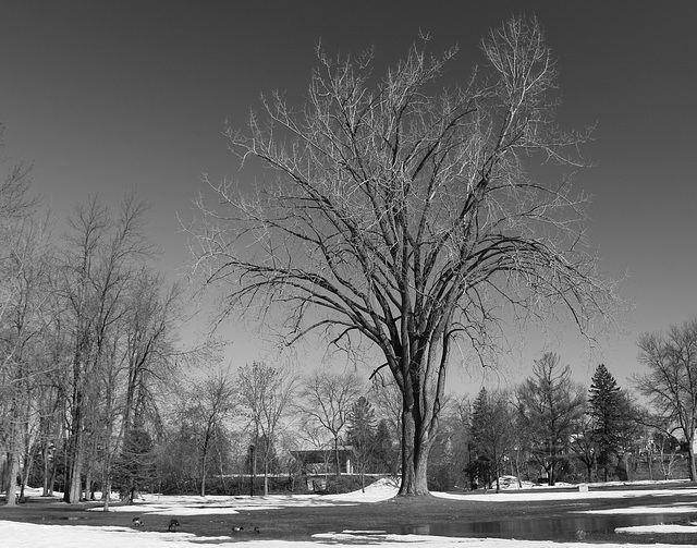 noir et blanc