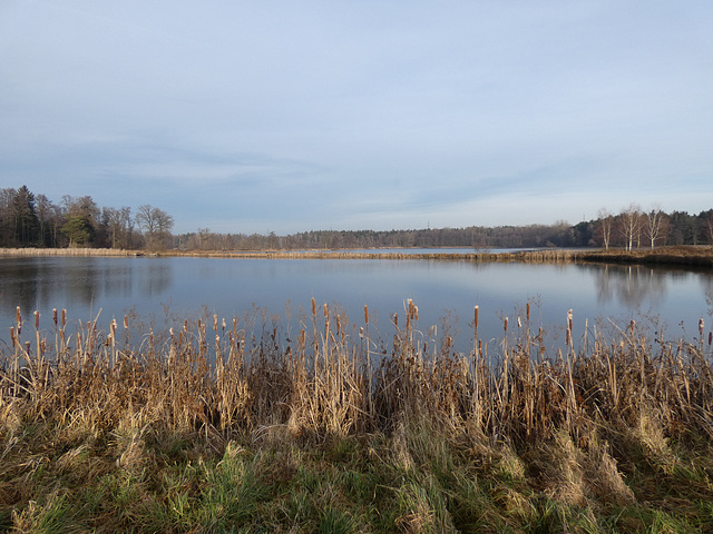 Eselweiher