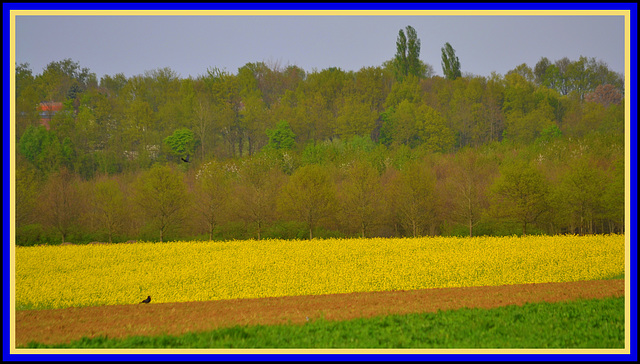 His Land   ---(Support Ukraine Save the people)