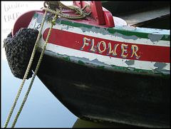 Flower boat