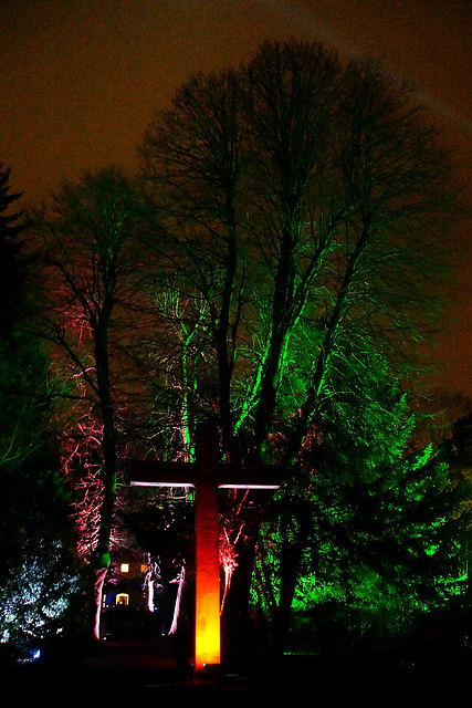 Beleuchteter Botanischer Garten