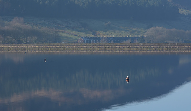 Dovestones reflections with 40 Row.