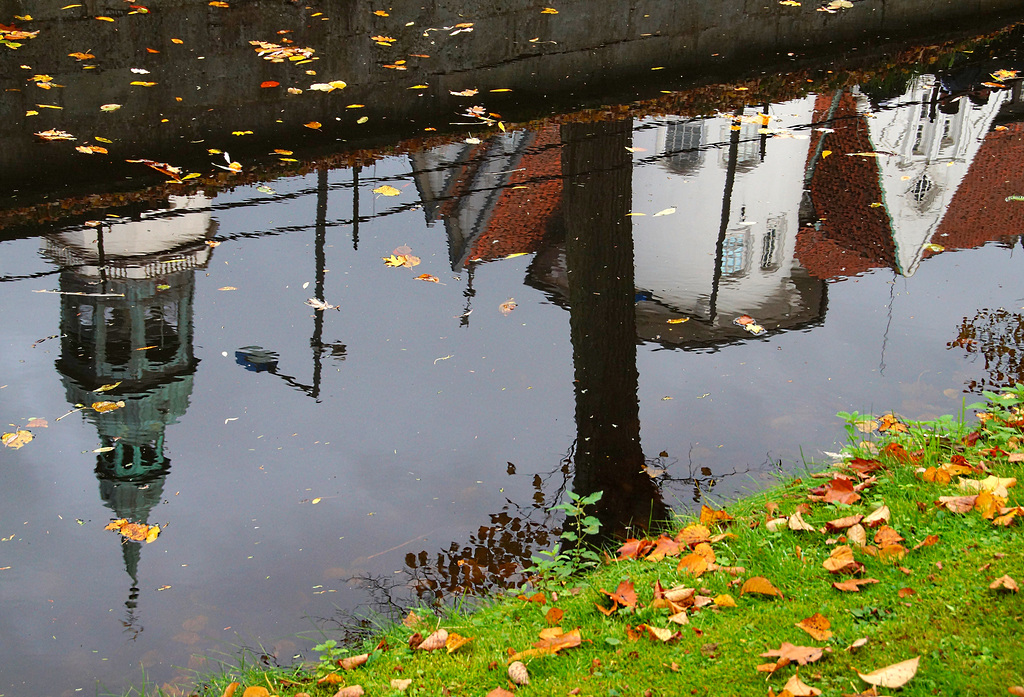 Tiefer Blick ins stille Wasser