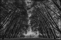 Panoramablick auf Hildesheim