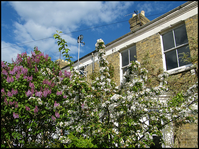 houses in spring