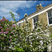 houses in spring