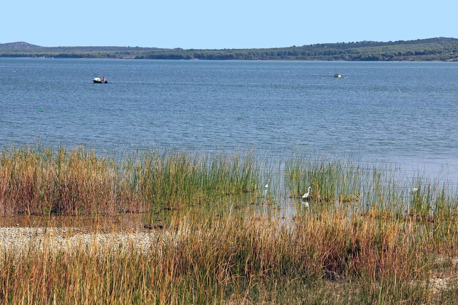 Vransko jezero (4)