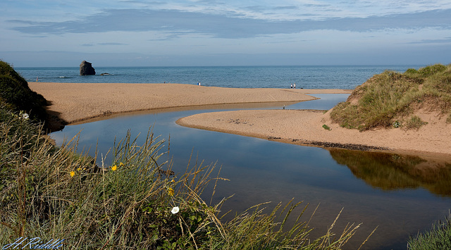 South Milton Nature Reserve