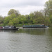 The Thames Path - Teddington to Kew Bridge, north bank