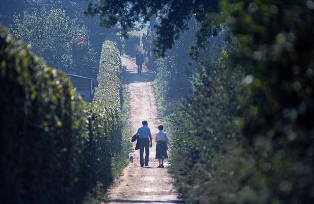 1986 ¤ on a lovely  Sunday-morning on the way to the Kapellerbos ¤ Leenhof ¤ Schaesberg ¤ Landgraaf ¤ NL