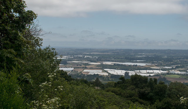 Hecker Pass / Watsonville agriculture (#1224)